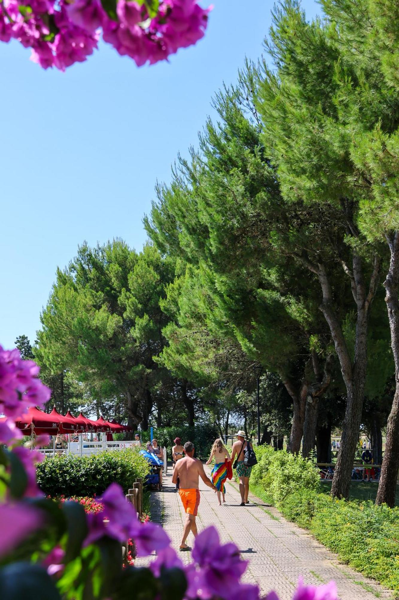 Il Tridente Hotel Bibione Dış mekan fotoğraf