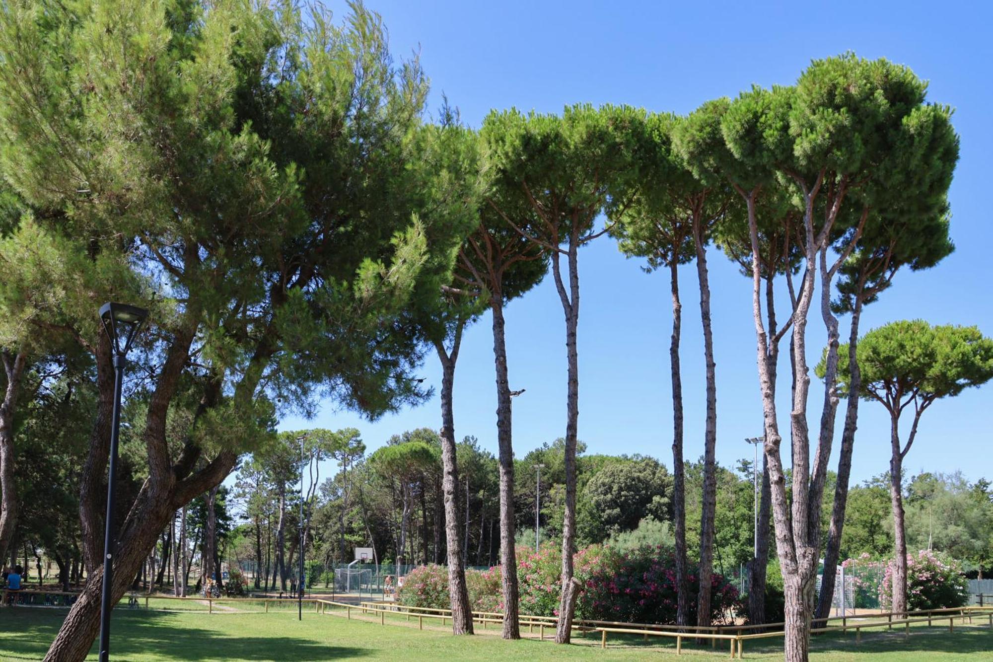 Il Tridente Hotel Bibione Dış mekan fotoğraf