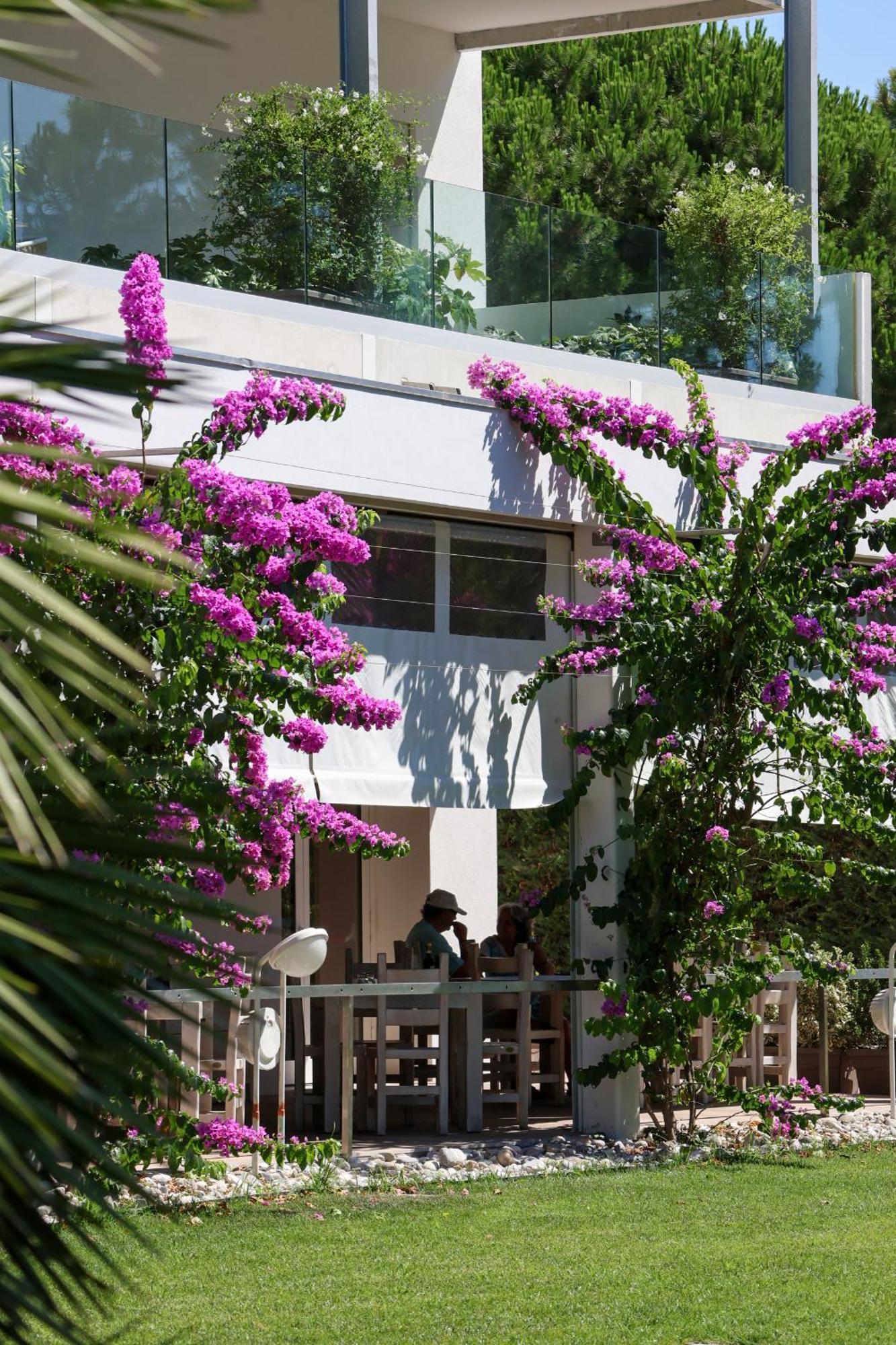 Il Tridente Hotel Bibione Dış mekan fotoğraf